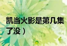 凱當(dāng)火影是第幾集（火影夜凱動(dòng)漫是第幾集出了沒(méi)）