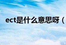 ect是什么意思呀（ect是什么意思車上的）