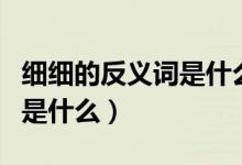 細細的反義詞是什么標準答案（細細的反義詞是什么）