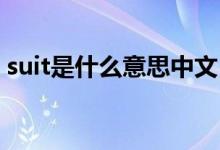 suit是什么意思中文（單詞 suit是什么意思）