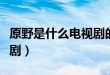 原野是什么電視劇的男主角（原野是什么電視?。?class=