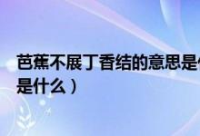 芭蕉不展丁香結(jié)的意思是什么簡答（芭蕉不展丁香結(jié)的意思是什么）