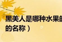 黑美人是哪種水果的名稱（黑美人是哪種水果的名稱）
