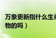 萬象更新指什么生肖動物（萬象更新是含有動物的嗎）
