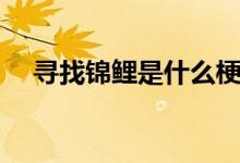 尋找錦鯉是什么梗（轉(zhuǎn)發(fā)錦鯉是什么梗）
