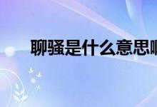 聊騷是什么意思啊（聊騷是什么意思）