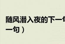 隨風潛入夜的下一句詩句是（隨風潛入夜的下一句）