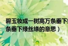 碧玉妝成一樹(shù)高萬(wàn)條垂下綠絲絳的意思（碧玉妝成一樹(shù)高萬(wàn)條垂下綠絲絳的意思）