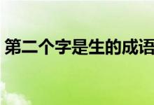 第二個字是生的成語（第二個字是生的成語）