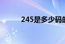 245是多少碼的（245是多大碼）