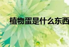 植物蛋是什么東西（植物蛋是什么東西）