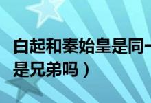 白起和秦始皇是同一時(shí)代的嗎（白起和秦始皇是兄弟嗎）