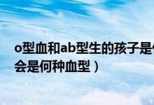 o型血和ab型生的孩子是什么血型（o型血和ab型生的孩子會是何種血型）