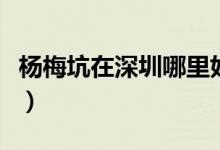 楊梅坑在深圳哪里好（楊梅坑在深圳哪個(gè)位置）