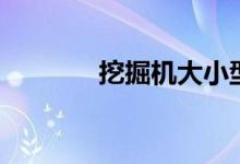 挖掘機大小型號（按噸位分）
