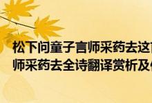 松下問(wèn)童子言師采藥去這首詩(shī)的意思是什么（松下問(wèn)童子言師采藥去全詩(shī)翻譯賞析及作者出處）