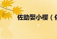 佐助娶小櫻(佐助娶小櫻哪一集)