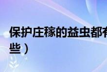 保護(hù)莊稼的益蟲都有啥（保護(hù)莊稼的益蟲有哪些）