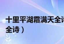 十里平湖霜滿天全詩的意思（十里平湖霜滿天全詩）