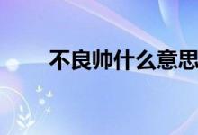 不良帥什么意思（不良帥什么段位）
