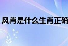 風(fēng)肖是什么生肖正確答案（風(fēng)肖是什么生肖）