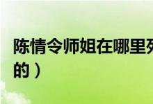 陳情令師姐在哪里死的（陳情令中師姐怎么死的）