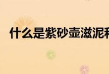 什么是紫砂壺滋泥和喂泥（什么是紫粉色）