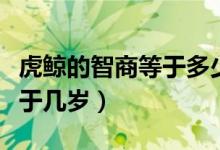 虎鯨的智商等于多少歲的小孩（虎鯨的智商等于幾歲）