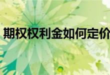 期權(quán)權(quán)利金如何定價(jià)（期權(quán)權(quán)利金如何計(jì)算）