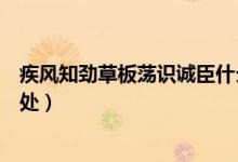 疾風(fēng)知?jiǎng)挪莅迨幾R(shí)誠(chéng)臣什么意思（疾風(fēng)知?jiǎng)挪葸@句話(huà)出自何處）