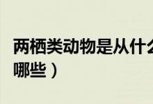 兩棲類動物是從什么進化來的（兩棲類動物有哪些）