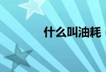 什么叫油耗（什么叫油膩男）