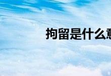 拘留是什么意思（拘留含義）