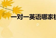 一對一英語哪家機構(gòu)好（有哪些機構(gòu)）