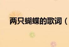 兩只蝴蝶的歌詞（歌曲兩只蝴蝶的歌詞）