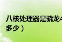 八核處理器是驍龍480嗎（八核處理器是驍龍多少）