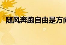 隨風(fēng)奔跑自由是方向是什么歌（奔跑歌詞）