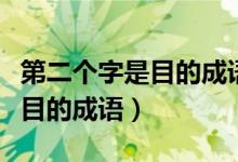 第二個(gè)字是目的成語大全有哪些（第二個(gè)字是目的成語）