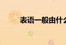 表語一般由什么詞來充當（表語）