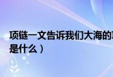 項(xiàng)鏈一文告訴我們大海的項(xiàng)鏈?zhǔn)鞘裁矗ㄏ胍幌氪蠛５捻?xiàng)鏈指是什么）