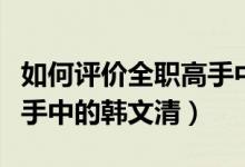 如何評價全職高手中的劉皓（如何評價全職高手中的韓文清）