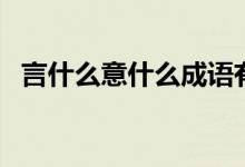 言什么意什么成語有哪些（言什么意什么）