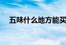 五味什么地方能買到（五味什么的成語）