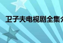 衛(wèi)子夫電視劇全集介紹（衛(wèi)子夫劇集節(jié)選）