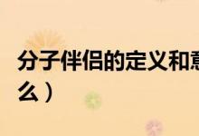 分子伴侶的定義和意義（分子伴侶的定義是什么）