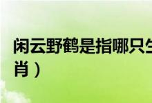 閑云野鶴是指哪只生肖(閑云野鶴是哪三大生肖)
