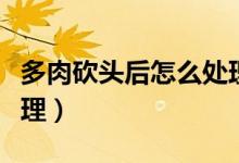 多肉砍頭后怎么處理傷口（多肉砍頭后怎么處理）
