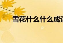 雪花什么什么成語（雪花什么填詞語）