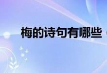 梅的詩句有哪些（和梅花有關(guān)的詩句）