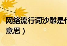 網(wǎng)絡(luò)流行詞沙雕是什么意思（流行語沙雕什么意思）